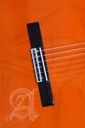 guitarra-alhambra-4f-con-golpeador