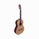 GUITARRA FERNANDEZ FZN