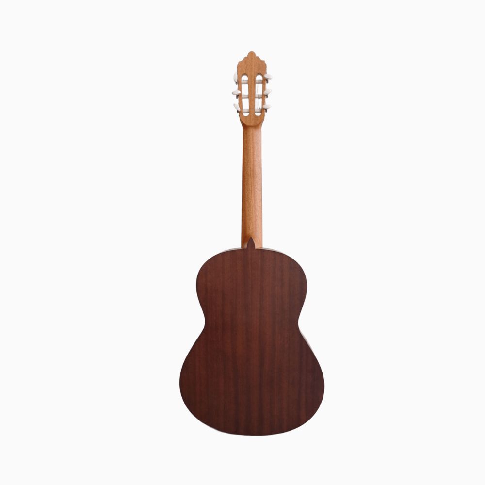 GUITARRA FERNANDEZ FZN
