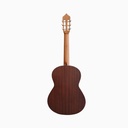 GUITARRA FERNANDEZ FZN