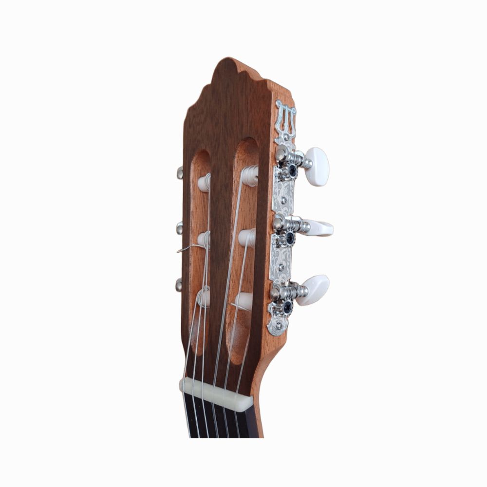 GUITARRA FERNANDEZ FZN