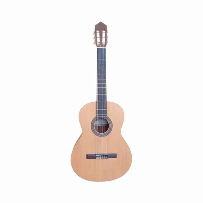 GUITARRA FERNANDEZ FZN