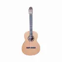 GUITARRA FERNANDEZ FZN
